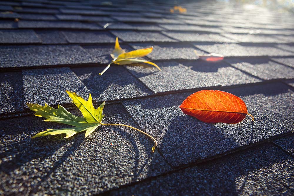 fall roof repair