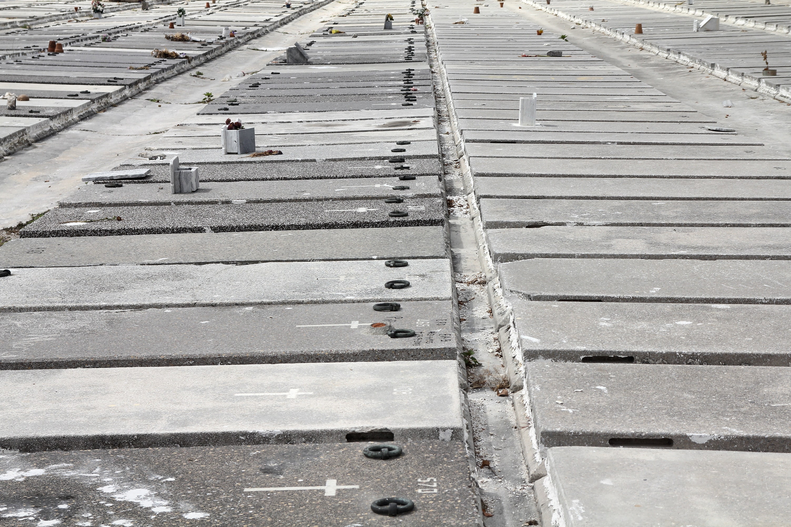 BP Builders Commercial Roof Contractor Roof Contractor Commercial Roofing
